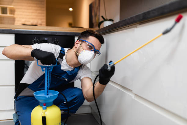 Best Best Pest Control Companies  in Alcoa, TN