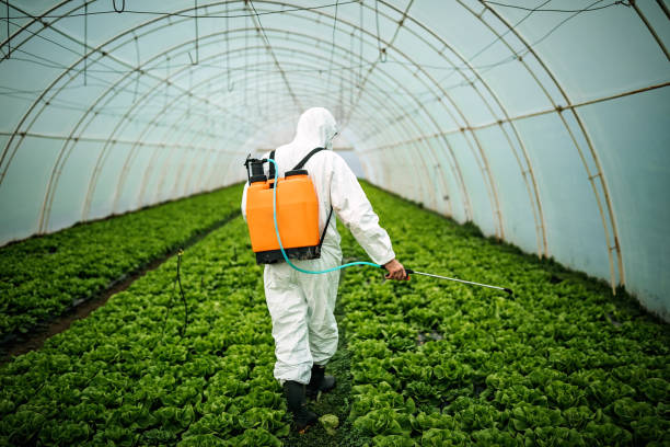 Best Best Pest Control Companies  in Alcoa, TN
