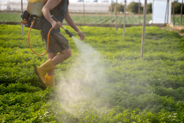 Pest Prevention Services in Alcoa, TN