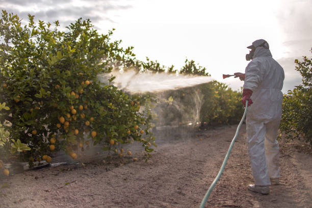 Best Residential Pest Control  in Alcoa, TN