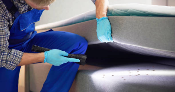 Best Termite Control Services  in Alcoa, TN