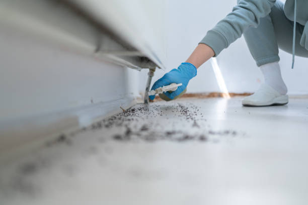 Pest Control Cost in Alcoa, TN